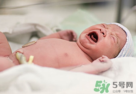 新生儿起脓包的原因,新生儿头部脓疱病 新生儿起脓包的原因,新生儿头部脓疱病