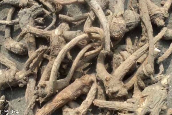 孕妇可以吃前胡吗(孕妇可以吃前胡吗)