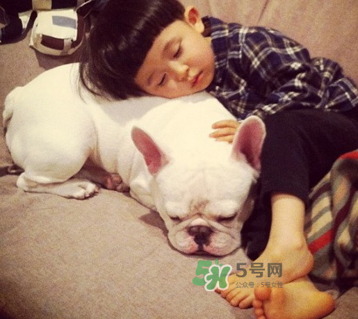 宠物对宝宝的影响,宠物对婴儿的影响大吗 宠物对宝宝的影响,宠物对婴儿的影响大吗