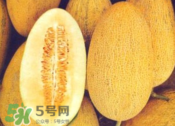 婴儿能吃哈密瓜吗 八个月,婴儿能吃哈密瓜吗 十个月