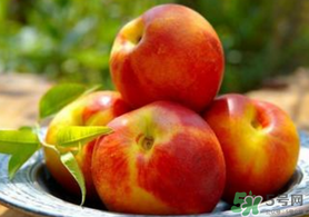 小孩吃的核桃油要怎么吃最好,油桃怎么吃法