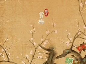 腊八生的女孩取名,腊八出生的女宝宝取什么名字好