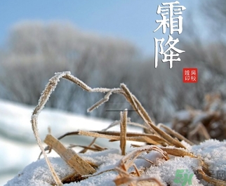 霜降出生是什么星座,霜降出生的人命运怎么样