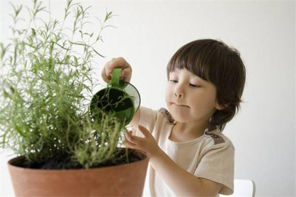 各个季节出生的人特点,哪个季节出生的宝宝比较好?