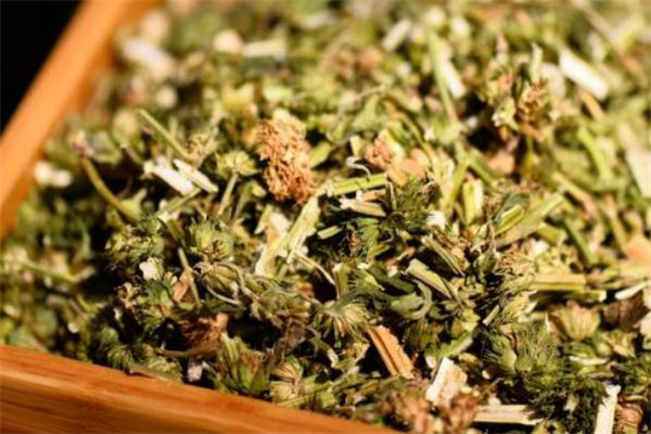 益母草熬水要放多少克(益母草熬水需要多少时间?)