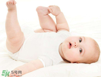 驱蚊植物排行榜,哪种花驱蚊效果最好