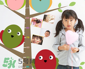 生长激素水平,生长激素和生长素