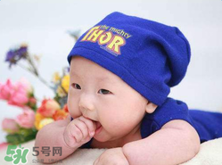 小龙虾的功效和作用及营养,小龙虾的功效和作用禁忌 小龙虾的功效和作用及营养,小龙虾的功效和作用禁忌