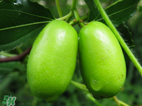 宝宝吃红枣的最佳做法,枣的吃法做法大全 宝宝吃红枣的最佳做法,枣的吃法做法大全