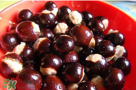 龙眼核是什么,龙眼核作用