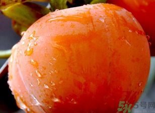 宝宝多大可以吃柿子饼,宝宝多大可以吃柿子炒鸡蛋