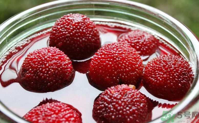 宝宝多大可以吃杨梅吗,宝宝多大可以吃西梅 宝宝多大可以吃杨梅吗,宝宝多大可以吃西梅