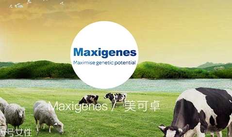 下列关于全脂奶粉和脱脂奶粉的区别描述错误的是,脱脂奶粉和全脂奶粉的营养区别