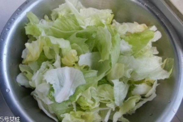 西生菜生长在什么环境里呢(西生菜的种植方法和时间)