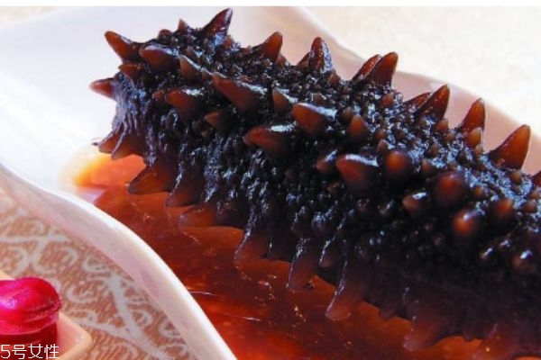 海参的种类有什么呢(海参有哪些种类)