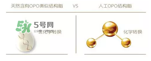 添加opo有什么作用,天然opo和合成opo的区别