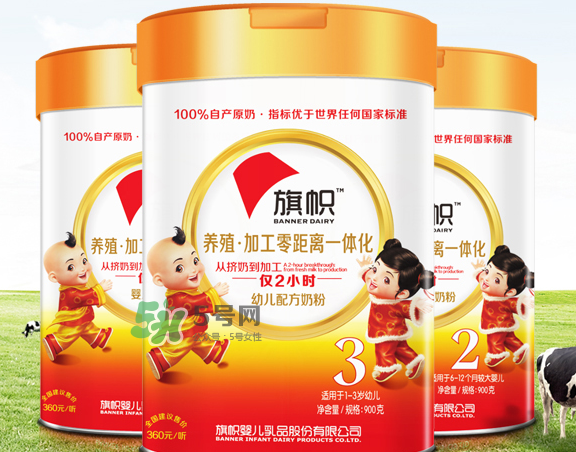 奶粉旗帜是什么牌的,旗帜是牛奶粉还是羊奶粉