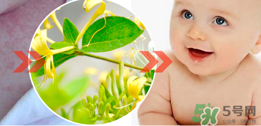 耶丽娅祛痱水好用吗