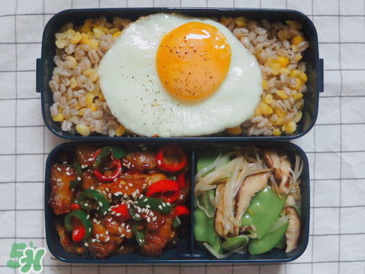 夏天能用保温盒带饭吗,夏天可以用保温饭盒带饭吗