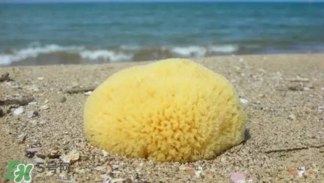 Irene Rosenfeld Irene Rosenfeld