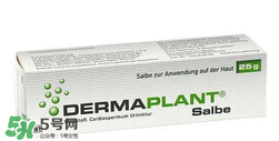 德国湿疹膏dermaplant 德国湿疹膏dermaplant