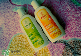 维蕾德洗发水怎么样,德拉维洗发水