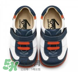 kaiser是什么品牌,kailas是哪个国家的品牌