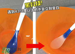 美国munchkin麦肯齐