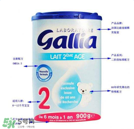 gallia奶粉价格,gallia奶粉怎么样