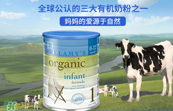贝拉米奶粉怎么样,贝拉米奶粉官方网