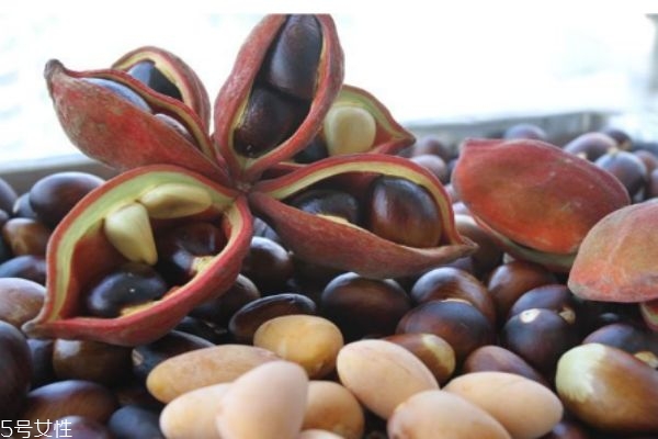 凤眼果的生长环境是怎么样的呢(凤眼果树简介)