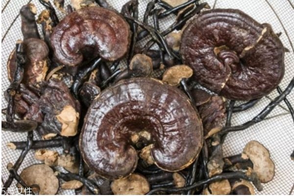 灵芝的几大种类及功效(灵芝有多少种类 都有什么功效)