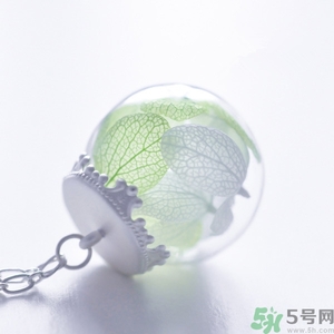 永生花项链,永生花项链有什么含义