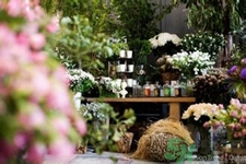 野兽派怎么样,野兽派的东西好吗