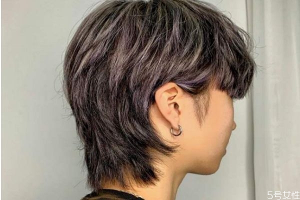 鲻鱼头和狼尾头的区别,狼尾鲻鱼头有什么区别