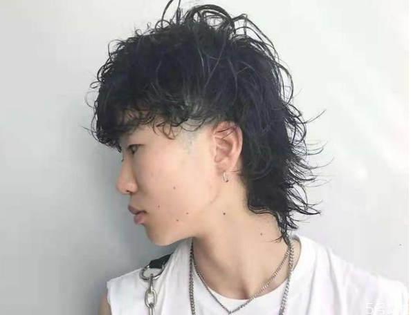 初期鲻鱼头怎么留,初期鲻鱼头怎么留照片