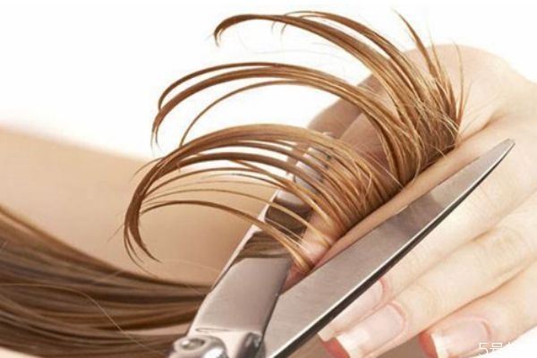 假发怎么保养才能有光泽,假发的保养方法