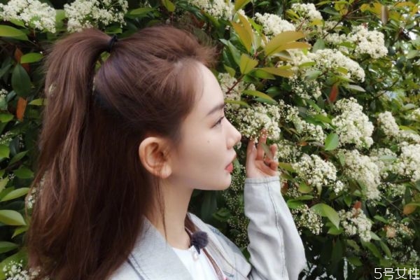 想做发型不知道做什么发型,想做个发型,但又不知道做个什么发型