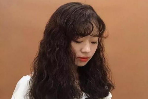 羊毛卷适合染什么颜色好看,羊毛卷适合染什么颜色的头发 羊毛卷适合染什么颜色好看,羊毛卷适合染什么颜色的头发