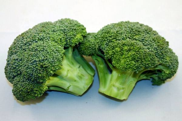 西兰花发黄了还能吃吗(西兰花有些发黄了还能吃吗) 西兰花发黄了还能吃吗(西兰花有些发黄了还能吃吗)