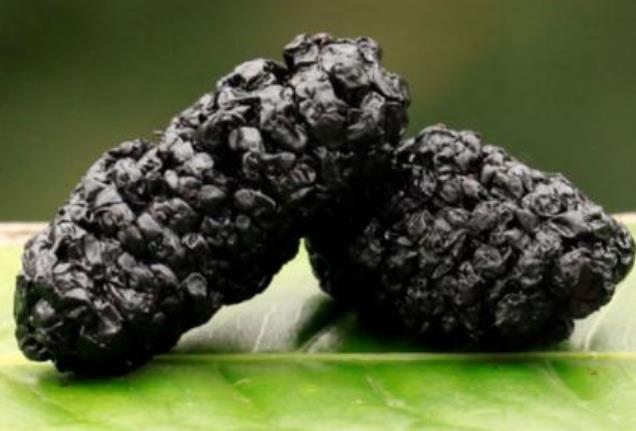 桑葚干怎么做成桑葚膏,桑葚干怎样泡酒