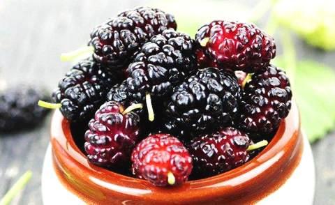 痔疮坐浴要泡多长时间,煮花生米要泡多长时间 痔疮坐浴要泡多长时间,煮花生米要泡多长时间