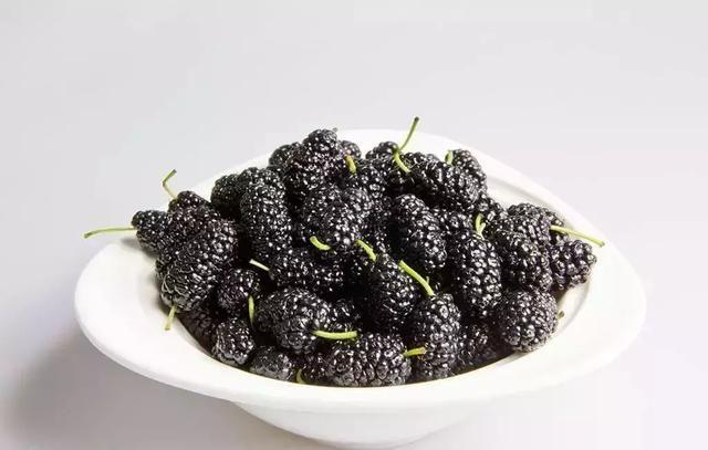 桑葚有毛能不能吃,桑葚外面的毛能吃吗 桑葚有毛能不能吃,桑葚外面的毛能吃吗