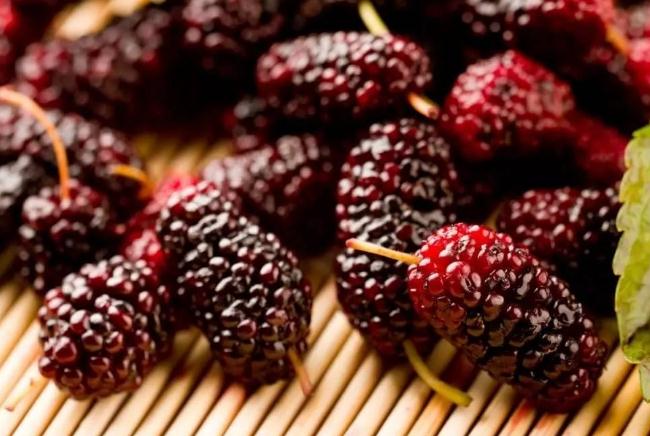 桑葚吃之前要洗吗,桑葚要不要洗过再吃