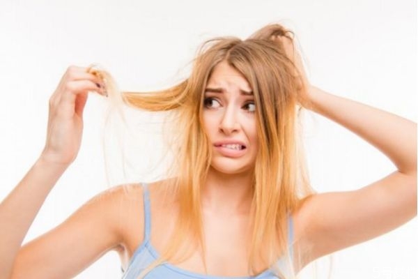 头发干枯用什么精油比较好,头发干用什么精油好