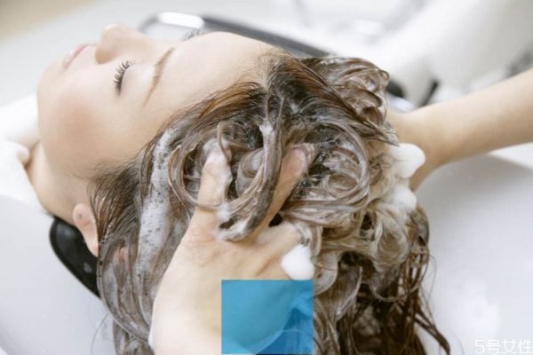 头发老出油试试这5招,头发老出油怎么解决