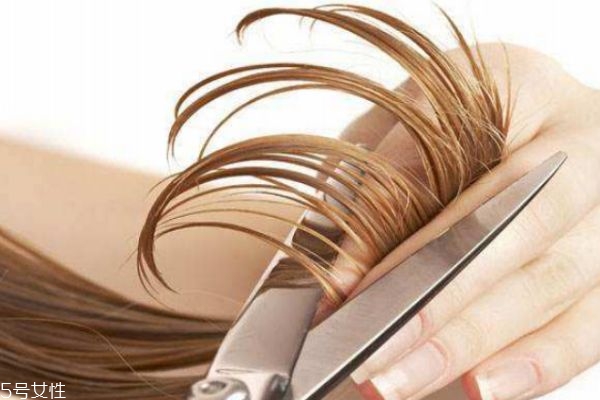 长时间不剪头发有什么危害,长时间不剪头发,会有什么危害吗?