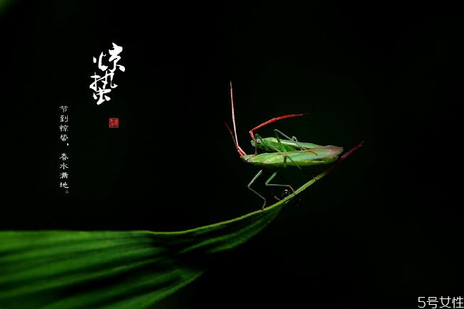 惊蛰养生重点是什么,惊蛰养生重点是什么2021