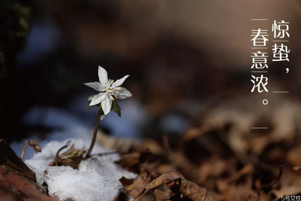 惊蛰节气最大的特点是什么,惊蛰节气有什么特点
