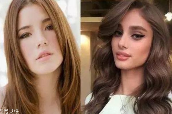 深棕色和浅棕色的区别图片,深棕色和浅棕色的区别在哪